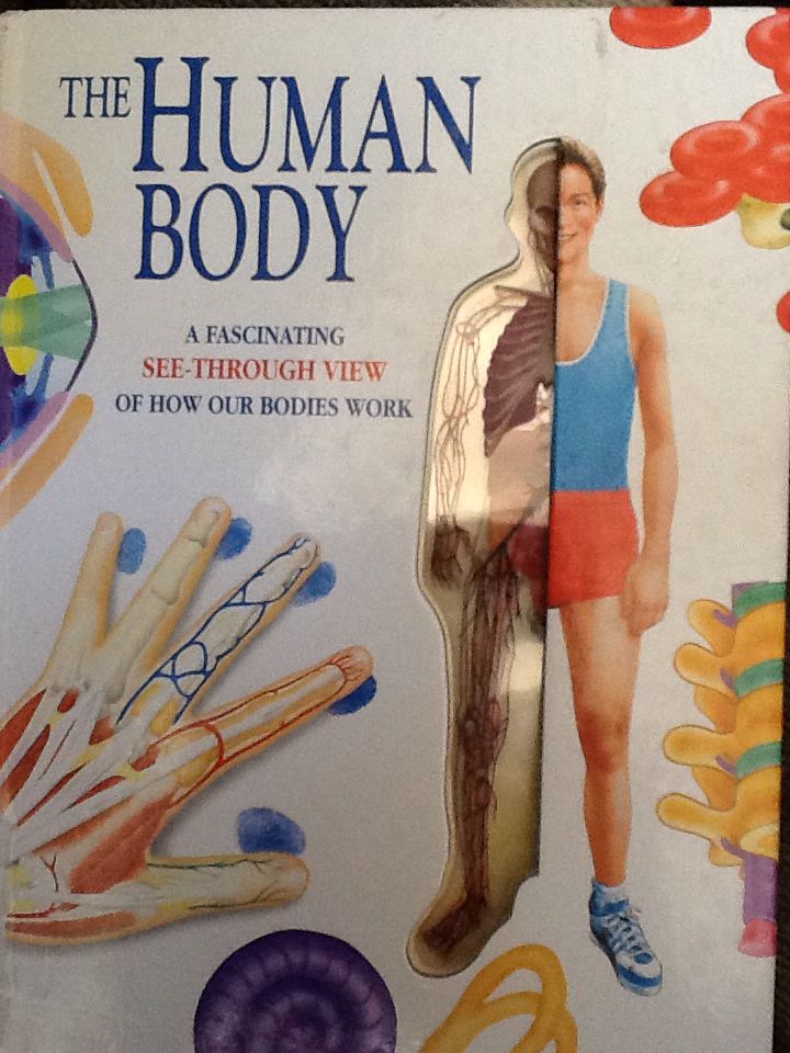 Around the World in Eighty Days