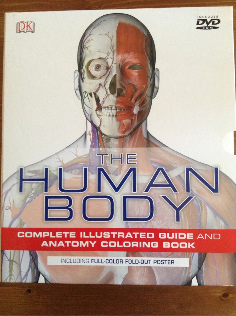 Koontz—Your Heart Belongs to Me