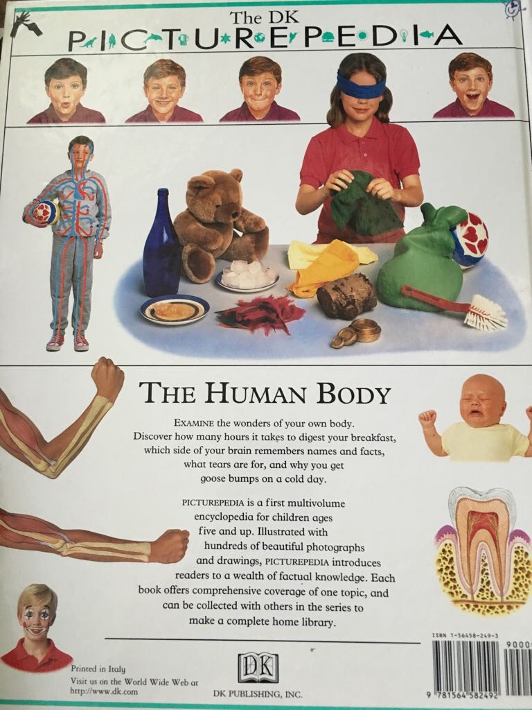 The Human Body - Jean Rustean (DK Publishing (Dorling Kindersley)) book collectible [Barcode 9781564582492] - Main Image 2