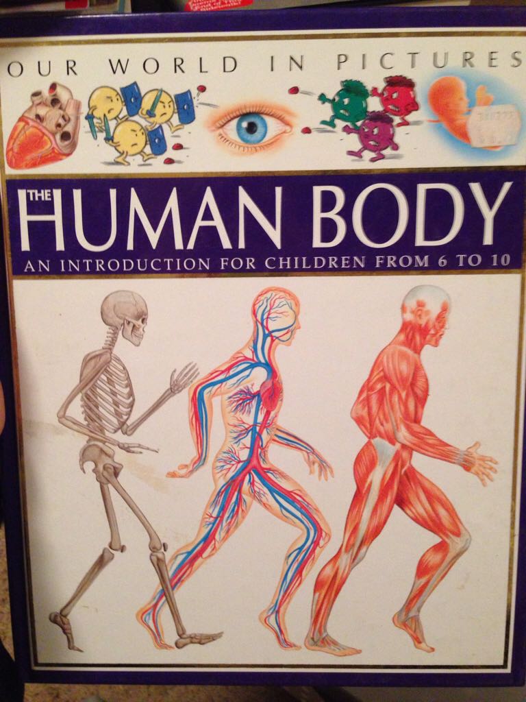 Kitchen Confidential