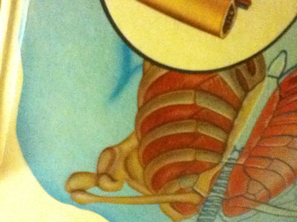 The Human Body - None book collectible - Main Image 2