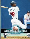 Kinsey Millhone 13: M Is for Malice