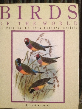 Fullmetal Alchemist 9