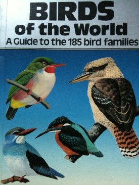 Adventures of Tom Sawyer, The