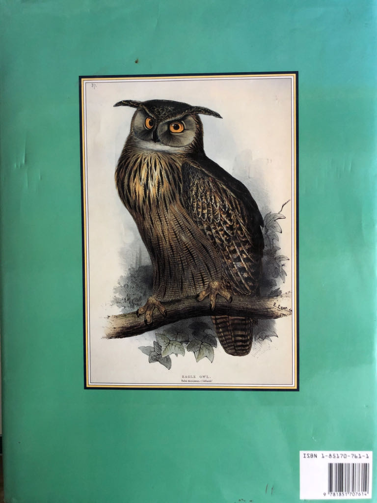 Birds Of The World - Maureen Lambourne (Studio Editions - Hardcover) book collectible [Barcode 9781851707614] - Main Image 2