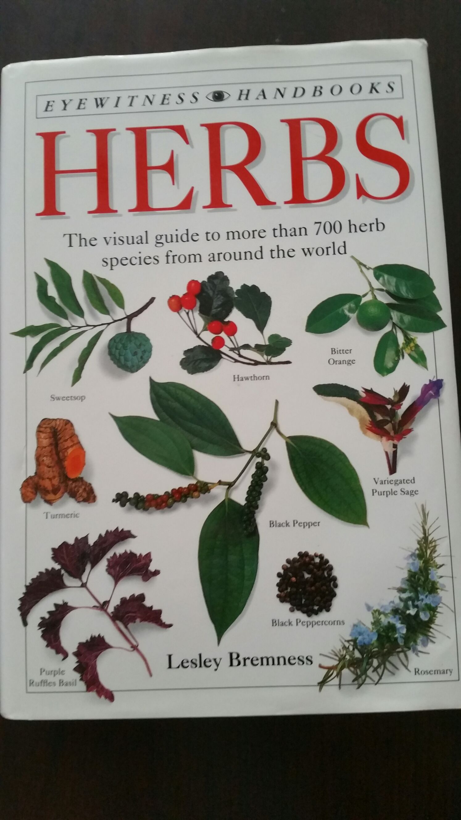 Doctor Who PDA 18 - Salvation