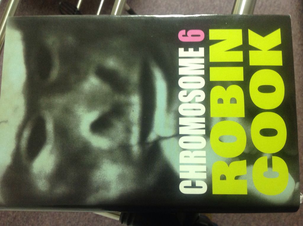 Bridge to Terabithia