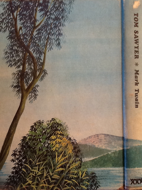 The Adventures of Tom Sawyer - Mark Twain (American Education Publishing - eBook) book collectible [Barcode 9780007420117] - Main Image 2