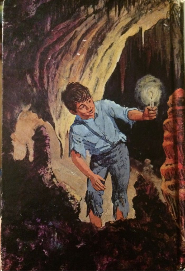 The Adventures of Tom Sawyer - Mark Twain (Whitman Publishing Co. - Hardcover) book collectible - Main Image 2