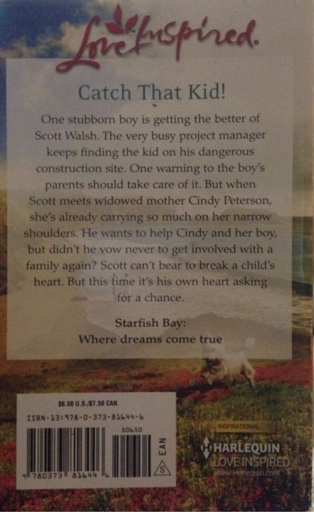 Finding Home - Irene Hannon (Steeple Hill Love Inspired - Paperback) book collectible [Barcode 9780373816446] - Main Image 2