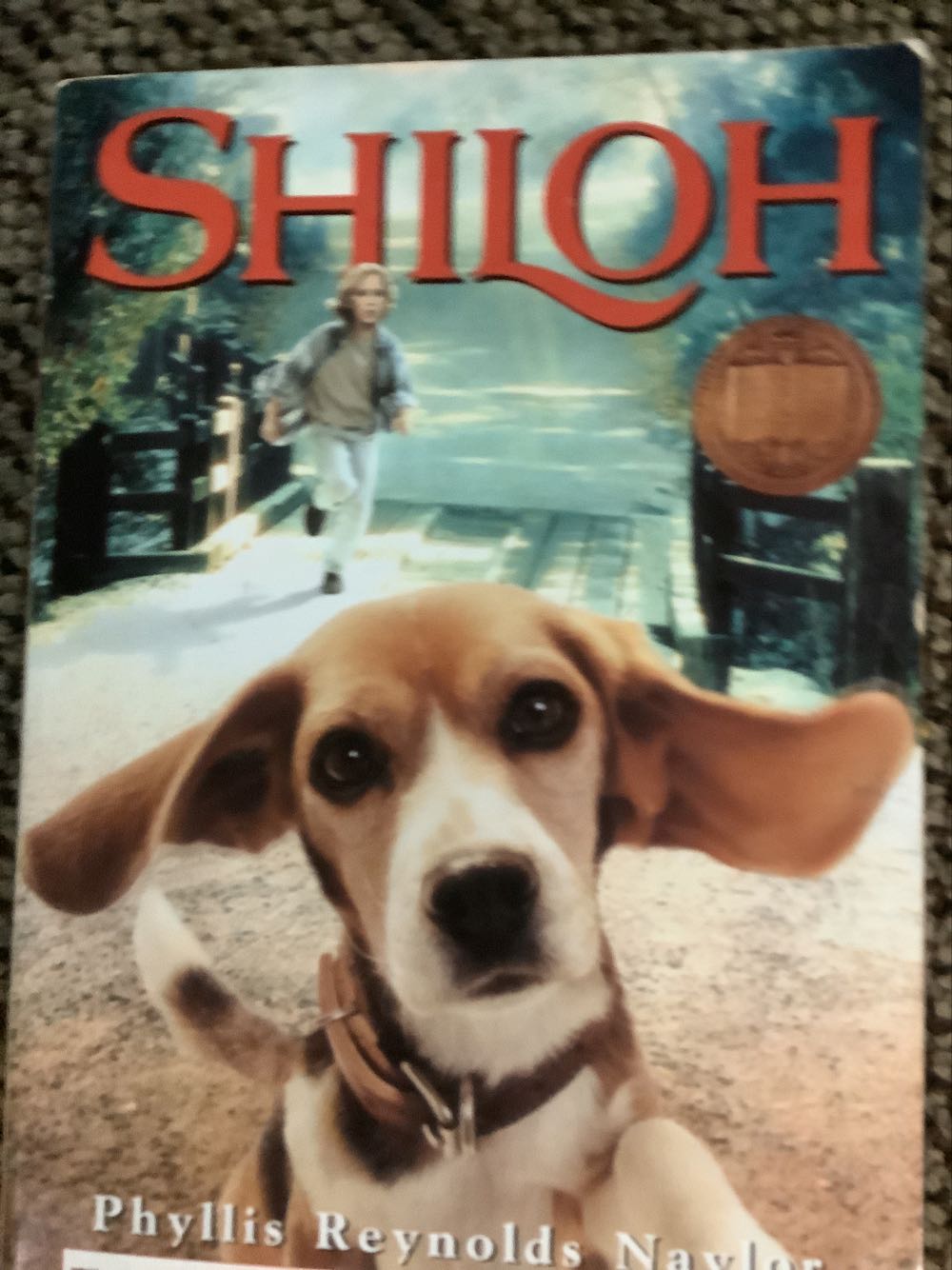 Shiloh - Phyllis Reynolds Naylor (A Yearling Book - Paperback) book collectible [Barcode 9780440407522] - Main Image 3