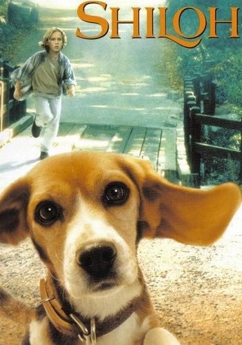 Shiloh - Phyllis Reynolds Naylor (Aladdin Paperbacks - Paperback) book collectible [Barcode 9780689835834] - Main Image 2