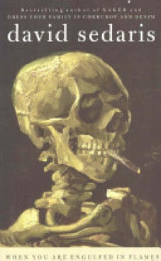 The Elephant and the Flea - Charles B. Handy