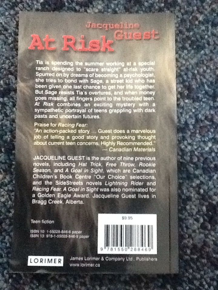 At Risk  (James Lorimer &amp; Company) book collectible [Barcode 9781550288469] - Main Image 2