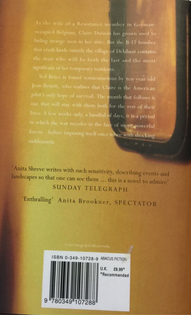 Resistance - Anita Shreve (Abacus - Paperback) book collectible [Barcode 9780349107288] - Main Image 2