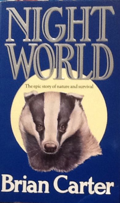 Image 3508184