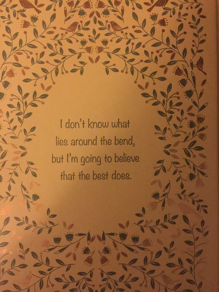 Anne of Green Gables - L.M. Montgomery (Barnes & Noble - Calf-Binding) book collectible [Barcode 9781435162099] - Main Image 2