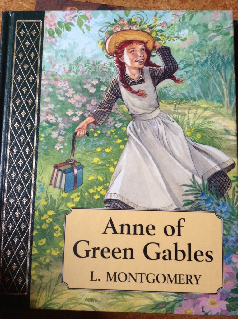Anne of Green Gables - L.M. Montgomery (Wordsworth Editions Limited) book collectible [Barcode 9781840220476] - Main Image 1