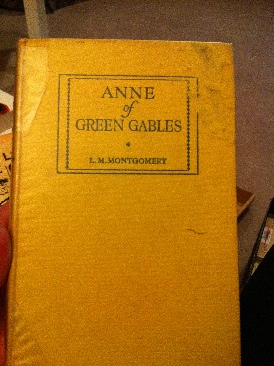 Das Tagebuch von Indiana Jones -