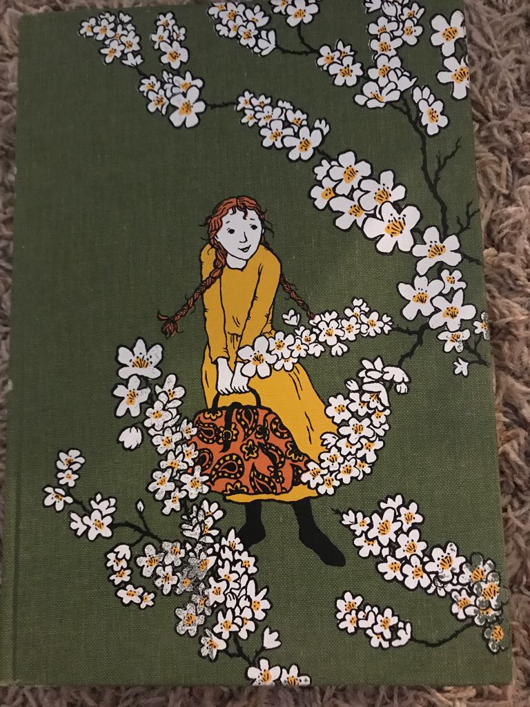 Droe Vrugte-Kuns: Great Ideas for Original Gifts and Projects With Dried Fruit