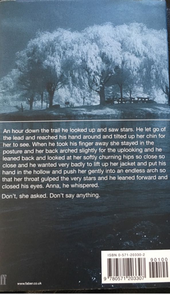 The Lake - Daniel Villasenor (Faber and Faber - Paperback) book collectible - Main Image 2