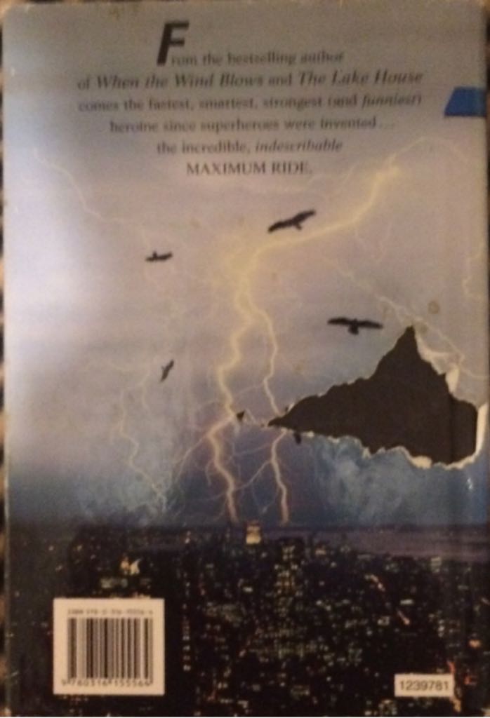 The Angel Experiment  (Hardcover) book collectible - Main Image 2