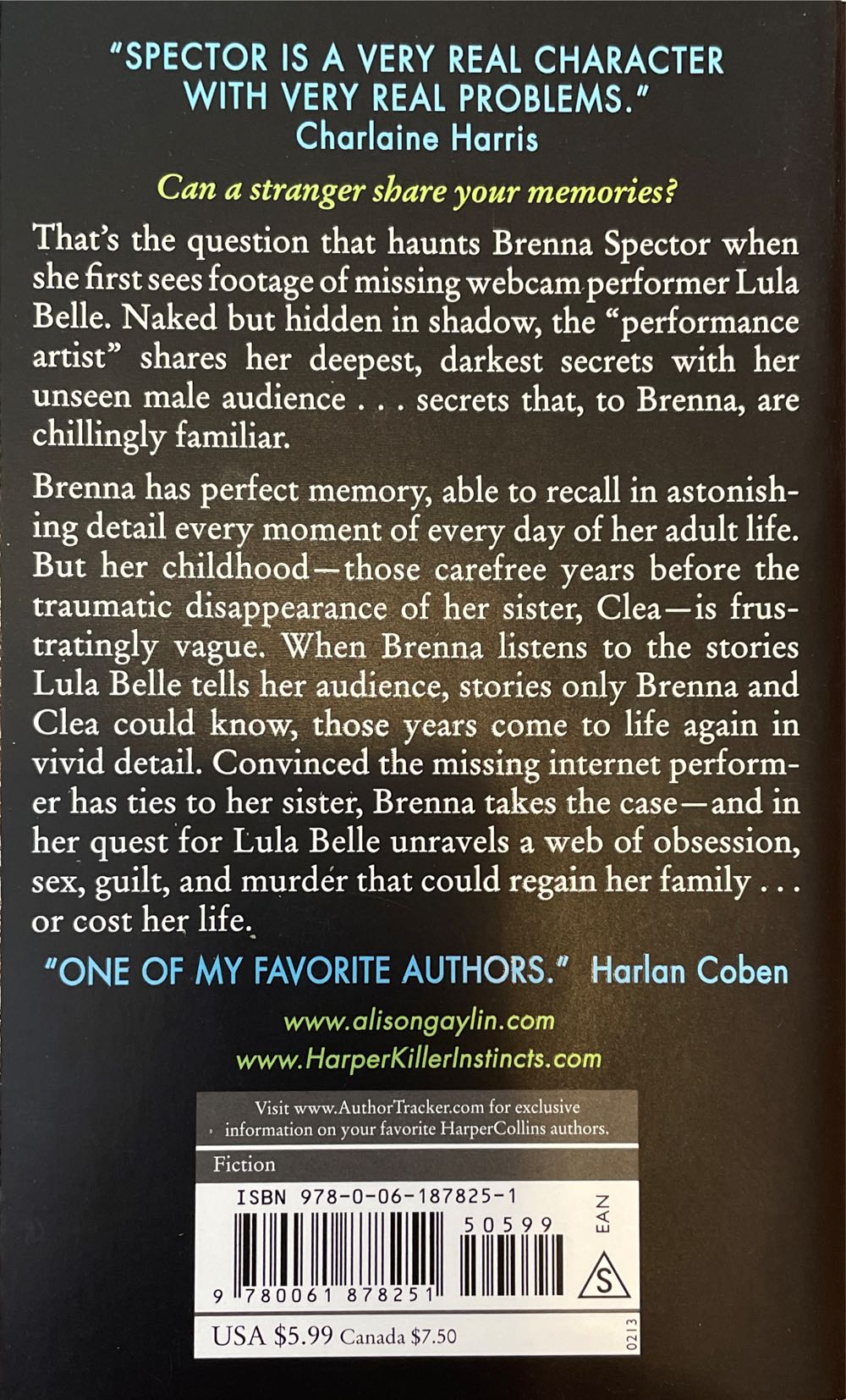 Into the Dark - Alison Gaylin (Harper - Paperback) book collectible [Barcode 9780061878251] - Main Image 2