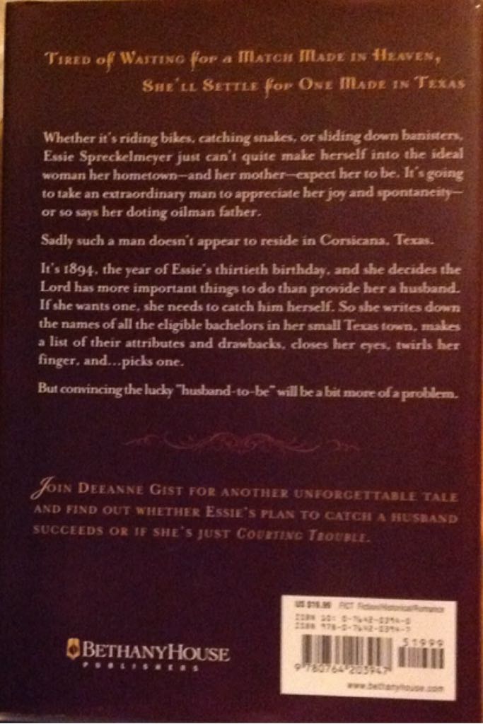 Courting Trouble  (Bethany House Publishers - Hardcover) book collectible [Barcode 9780764203947] - Main Image 2