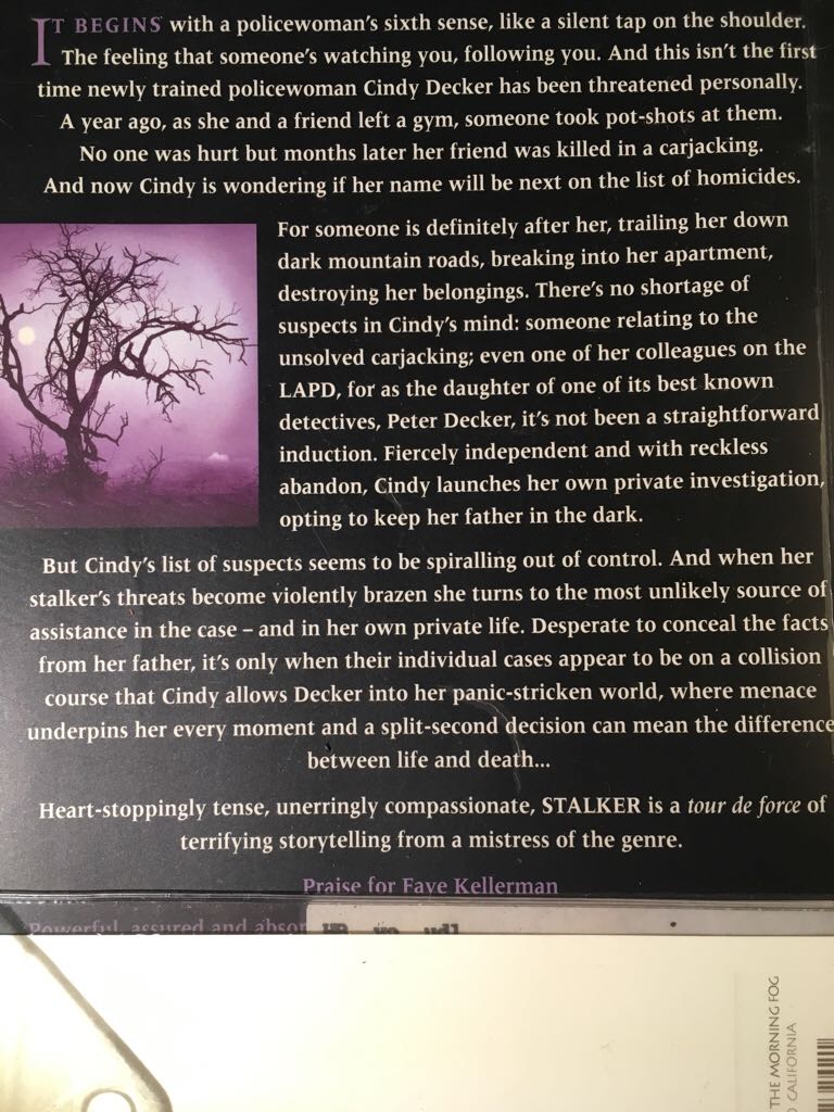 Stalker  (Headline - Trade Paperback) book collectible [Barcode 9780747276463] - Main Image 2