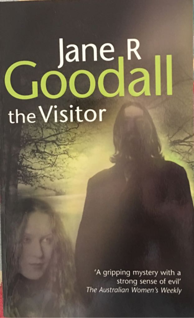 Merriam-Websters Pocket DictionaryA Handy, Portable Guide to 40000 English Words