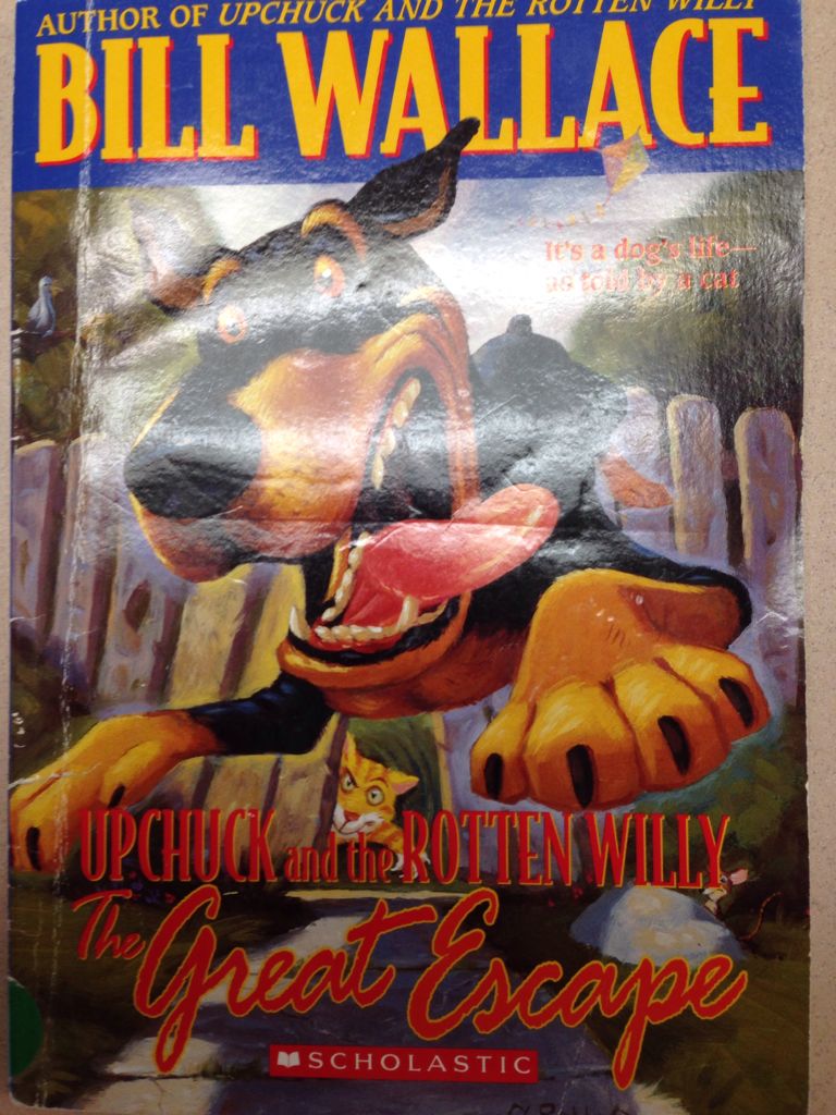 Arrivederci piccole donne