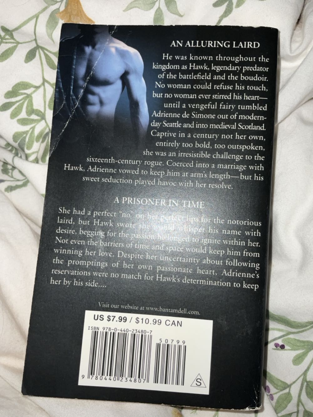 Beyond the Highland Mist - Karen Marie Moning (Dell - Paperback) book collectible [Barcode 9780440234807] - Main Image 3