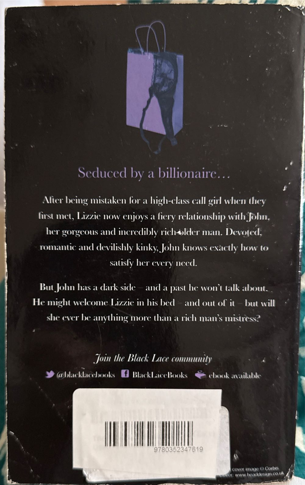 The Accidental Mistress - Anne Warren, (Paperback) book collectible [Barcode 9780352347619] - Main Image 2