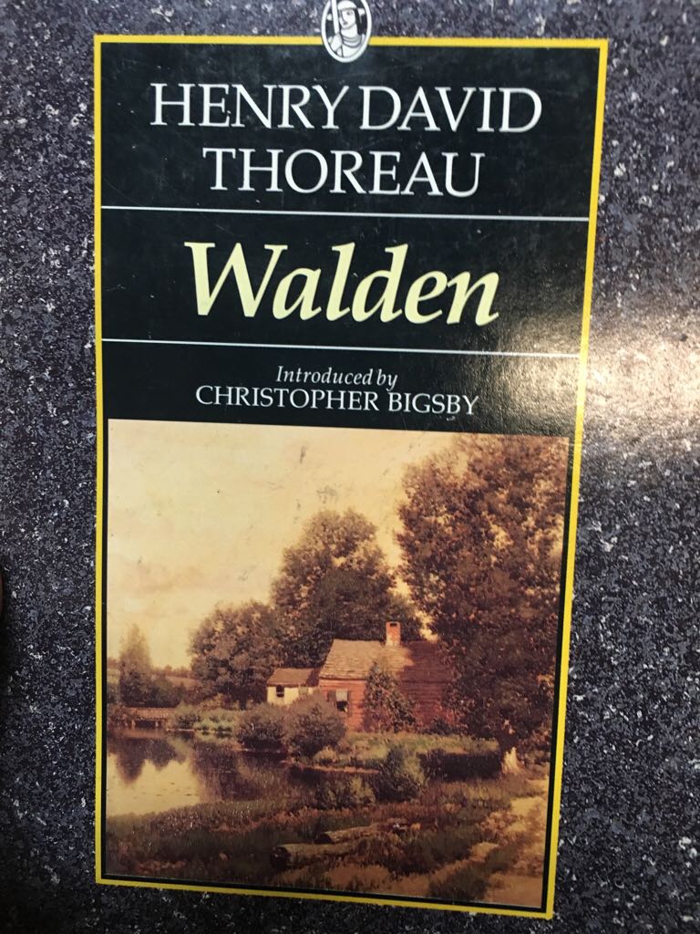 Scandalizing the CEO[eBook]