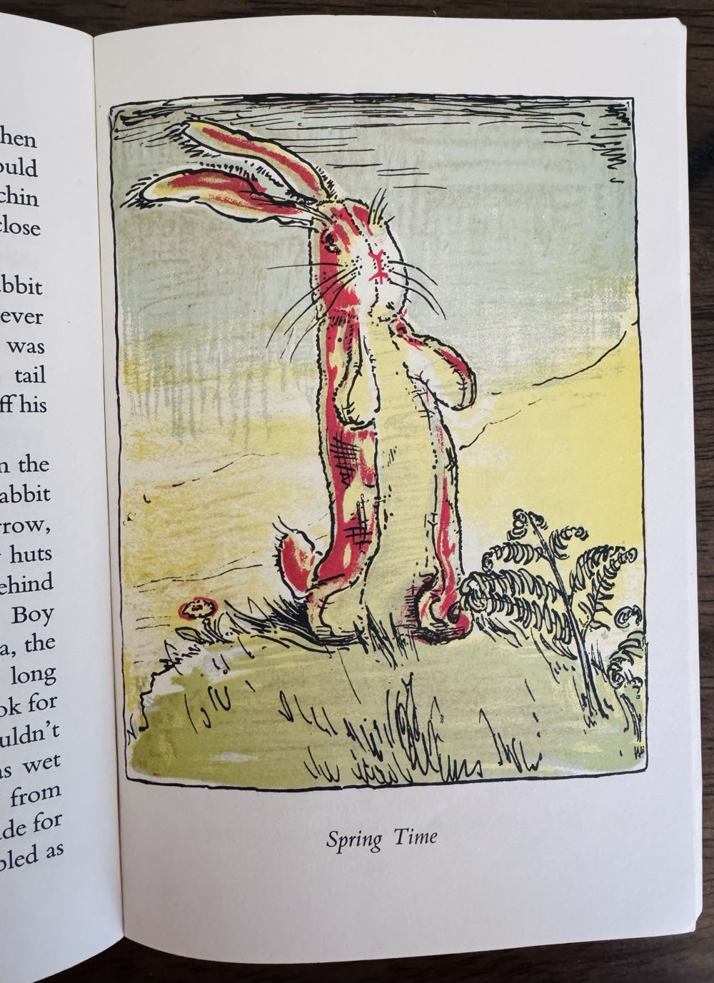 The Velveteen Rabbit - Margery Williams (HarperCollins - Paperback) book collectible [Barcode 9780380002559] - Main Image 4