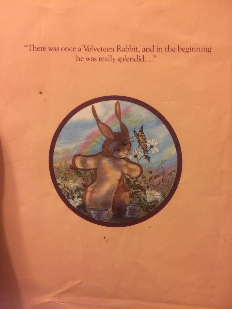 The Velveteen Rabbit - Margery Williams (Alfred A. Knopf - Hardcover) book collectible [Barcode 9780394532219] - Main Image 2