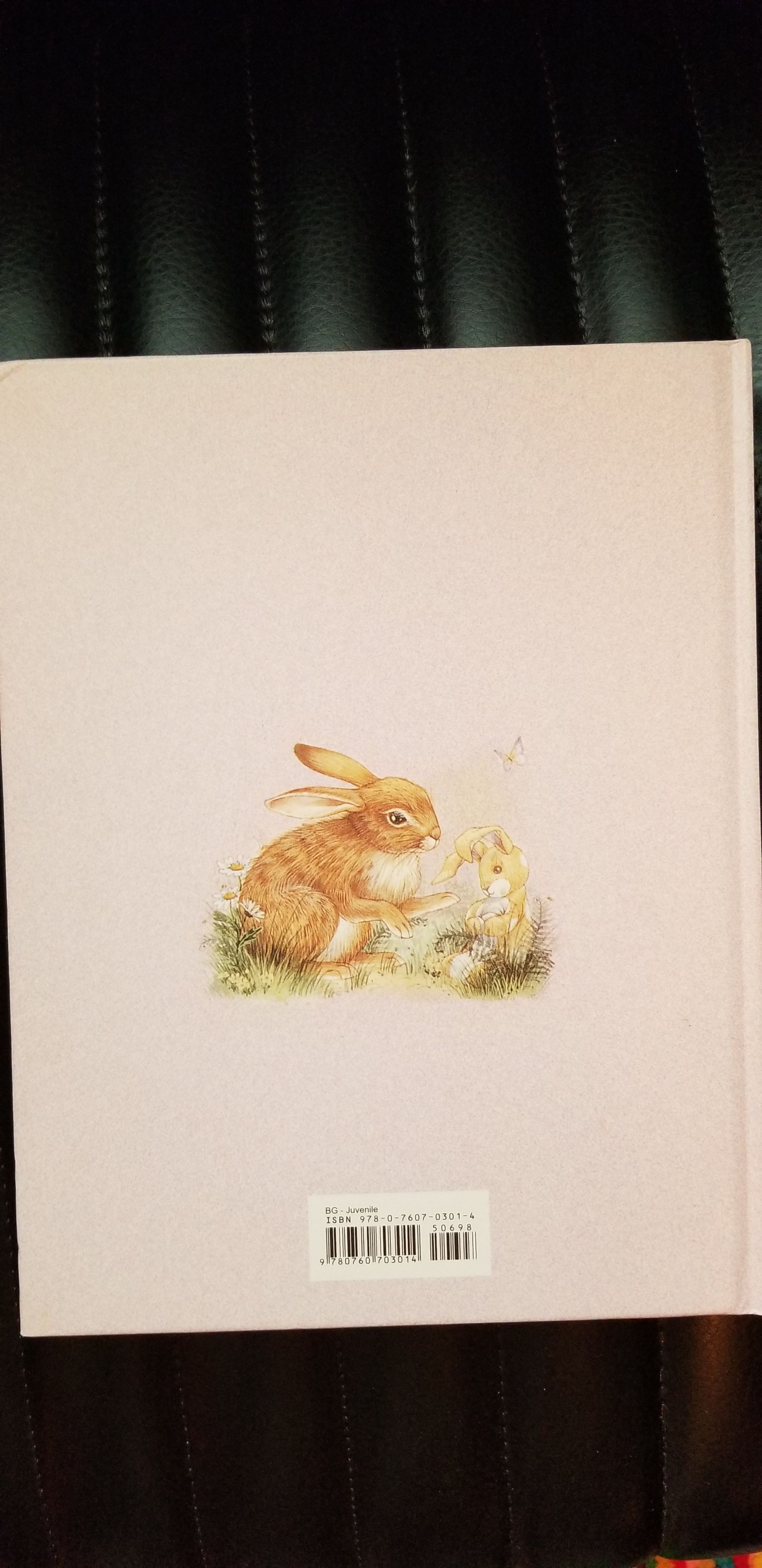 1 The Velveteen Rabbit - Jennifer Boudart (Barnes & Noble Classics - Hardcover) book collectible [Barcode 9780760703014] - Main Image 2