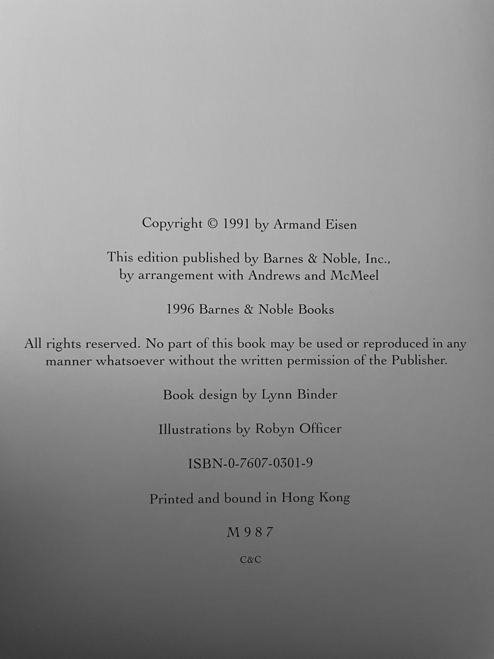 1 The Velveteen Rabbit - Jennifer Boudart (Barnes & Noble Classics - Hardcover) book collectible [Barcode 9780760703014] - Main Image 3