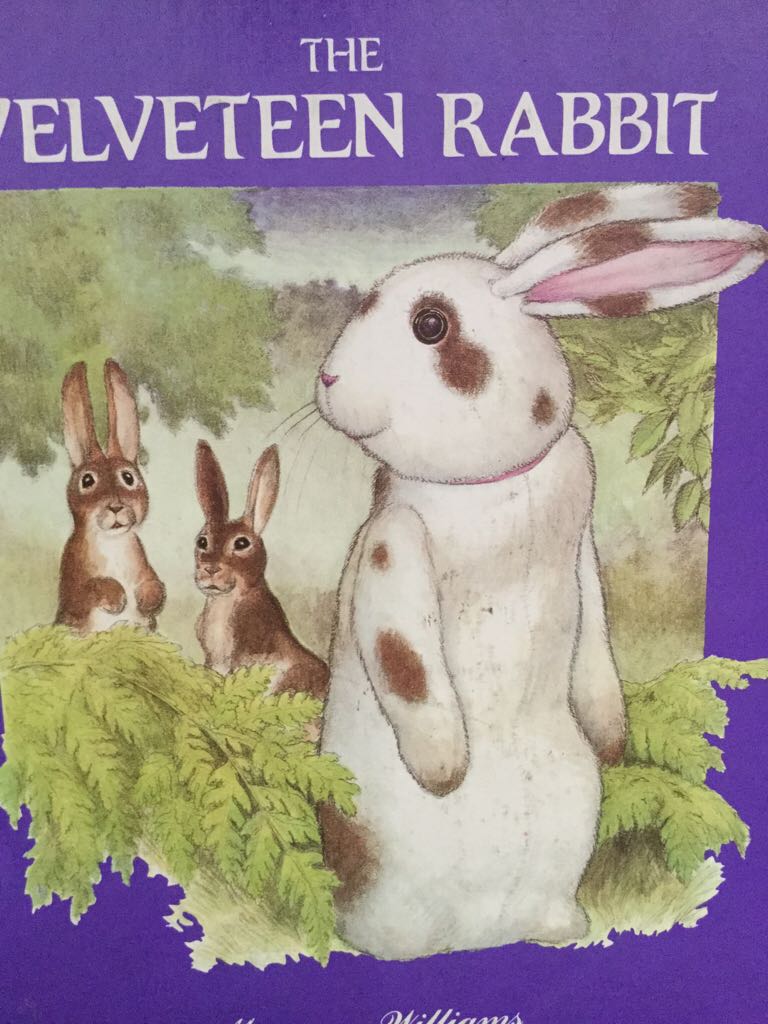 The Velveteen Rabbit - Margery Williams (Troll Associates) book collectible [Barcode 9780816710614] - Main Image 1