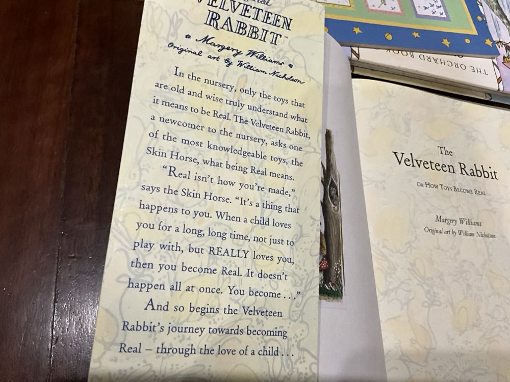 The Velveteen Rabbit - Margery Williams (Camelot - Paperback) book collectible [Barcode 9781405210546] - Main Image 3