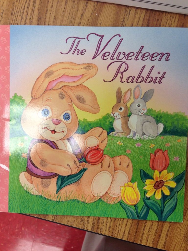 The Viscount Who Loved Me