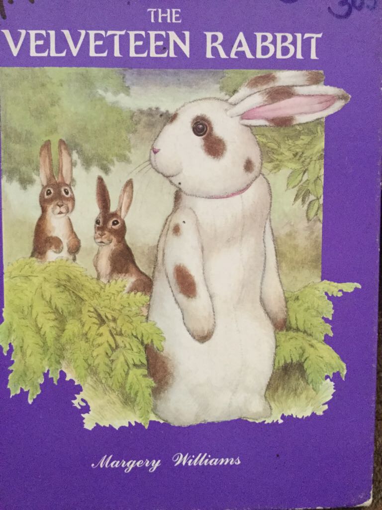 Woman After Gods Own Heart, A