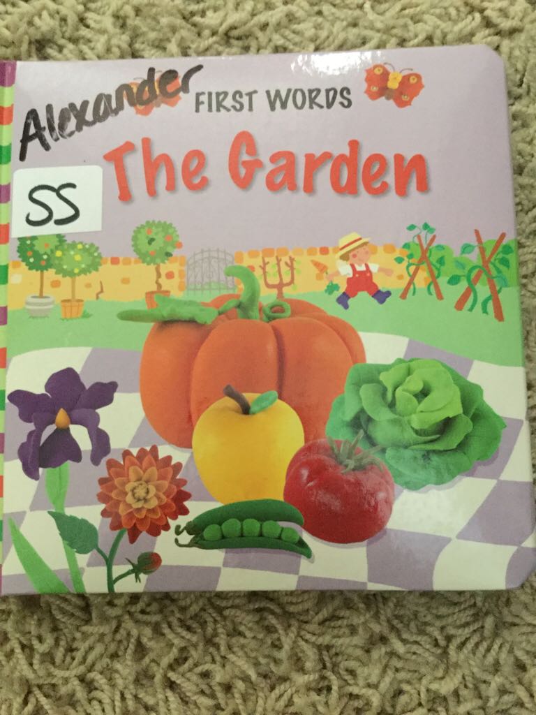 Star Trek: Voyager: Mosaic