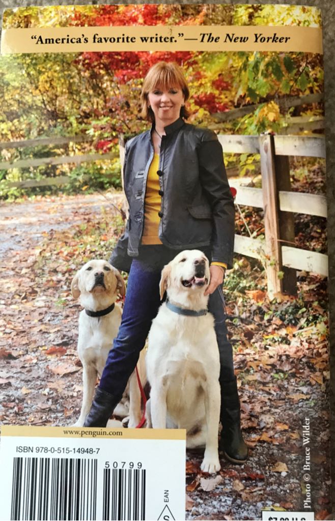 The Search - Nora Roberts (Berkley Publishing Group - Paperback) book collectible [Barcode 9780515149487] - Main Image 2