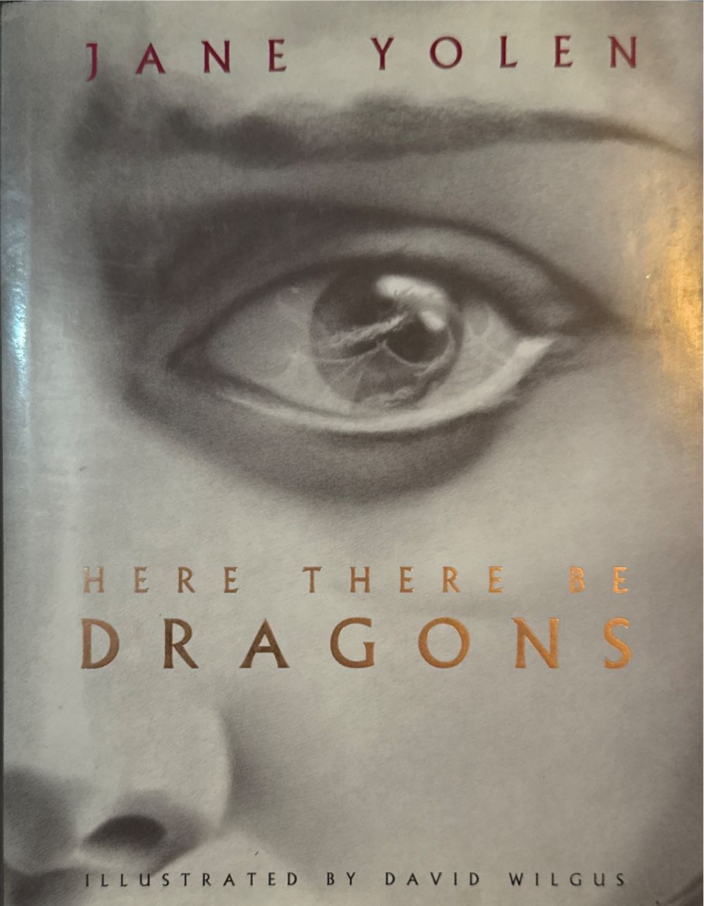 Here There Be Dragons - Jane Yolen (Harcourt Brace - Hardcover) book collectible [Barcode 9780152098889] - Main Image 1
