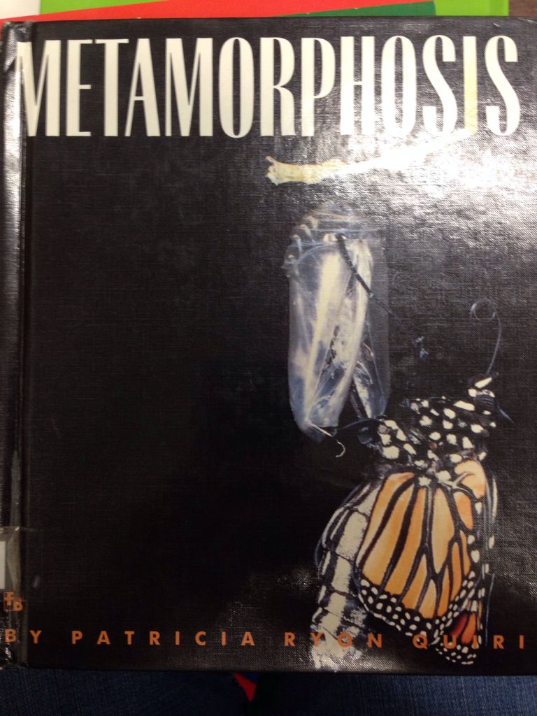 Microsoft Visual Interdev 6.0 Programmers Guide