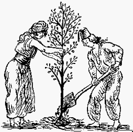 Image 3516152