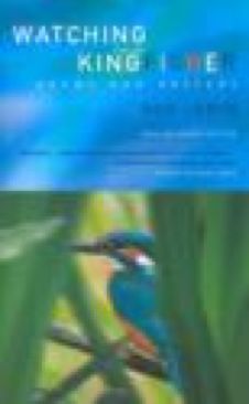 Grand Theft Auto: Episodes from Liberty City Signature Series Strategy Guide