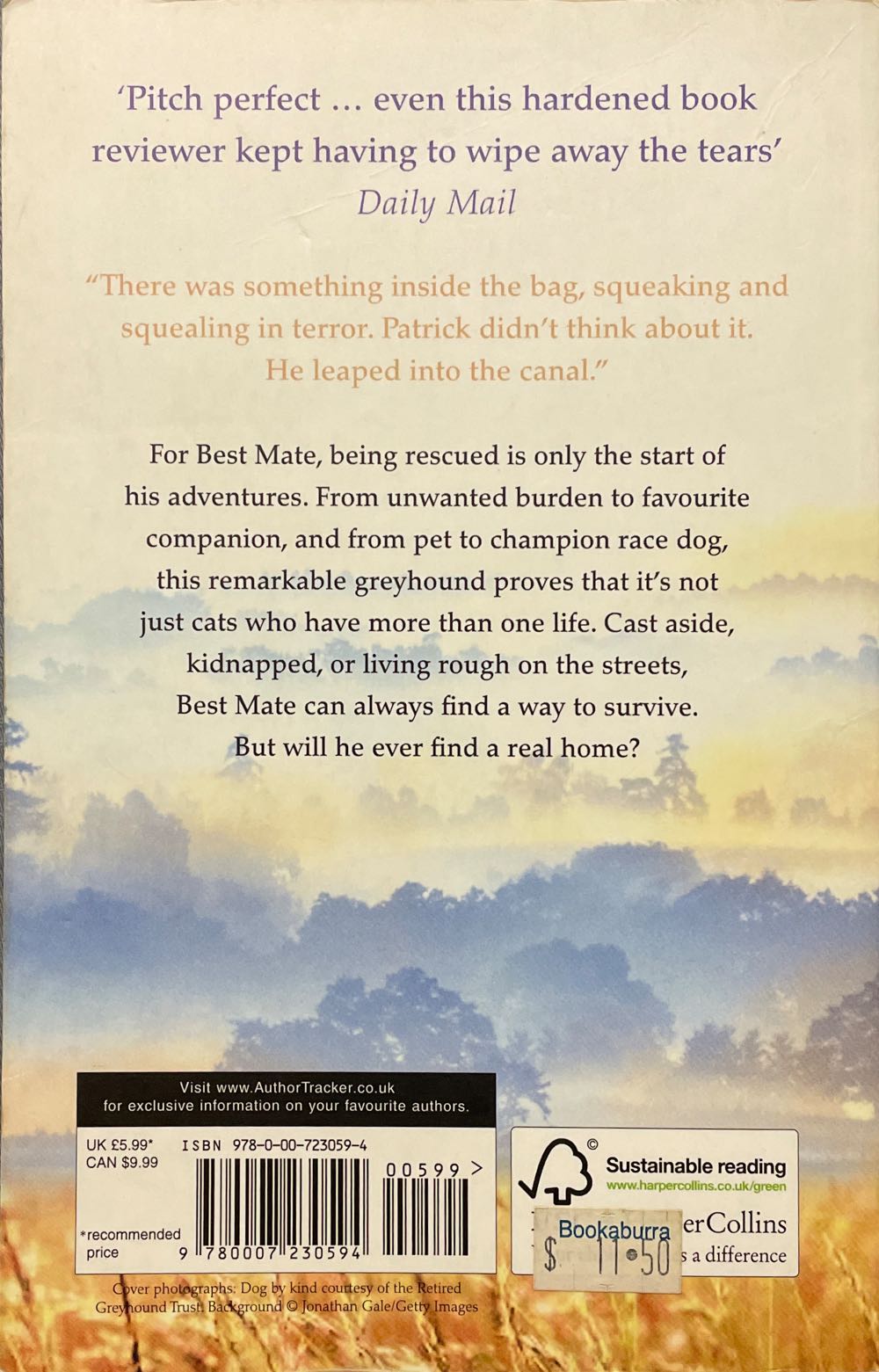 Born to Run - Bruce Springsteen (HarperCollins - Paperback) book collectible [Barcode 9780007230594] - Main Image 2