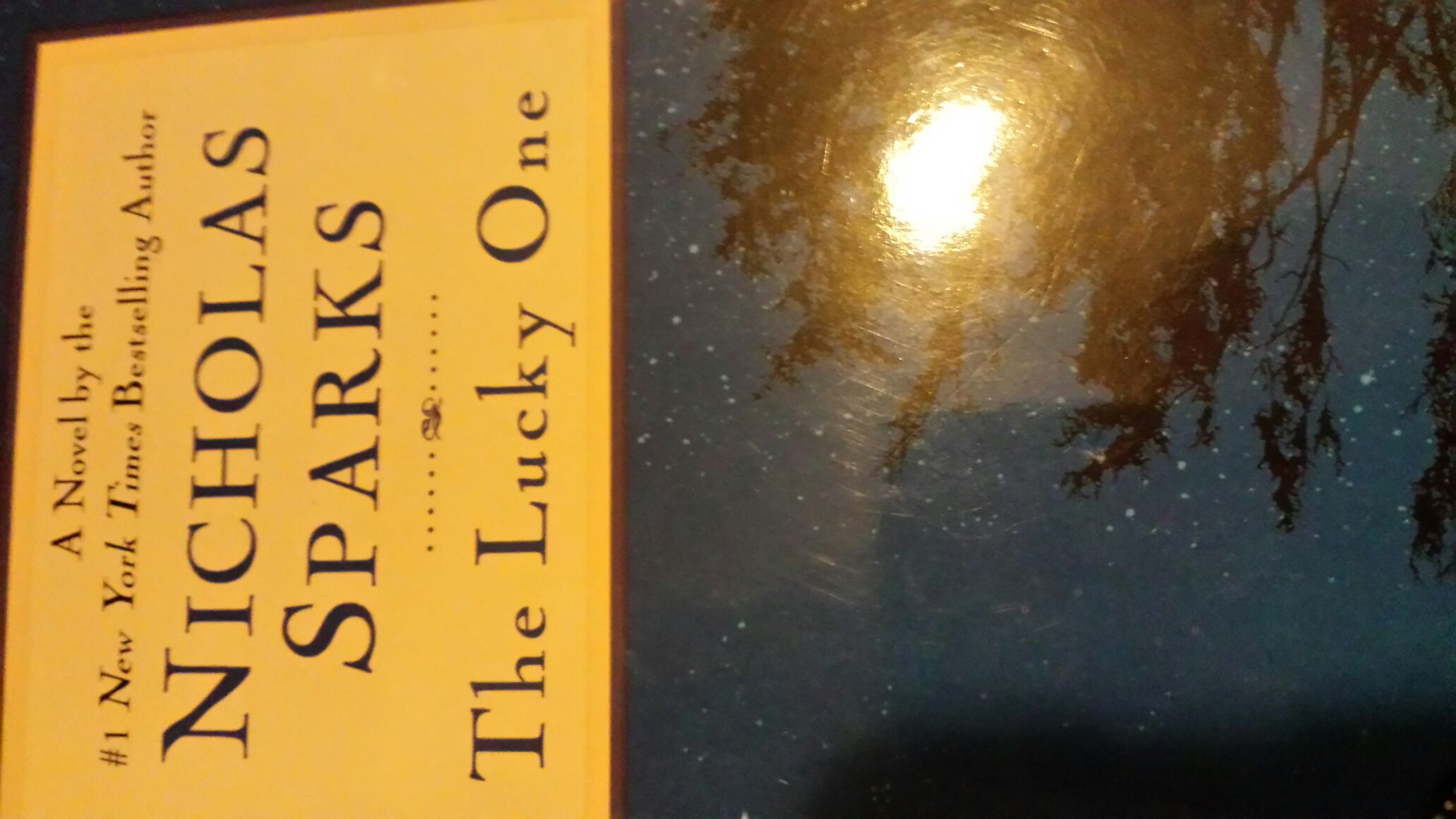 Guinness World Records 2008